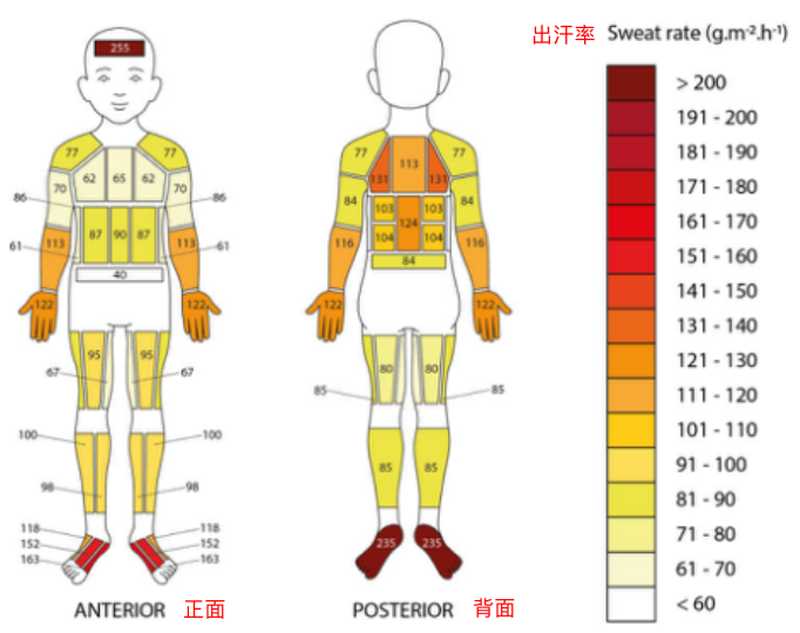 动不动就挥汗如雨，孩子出汗多需要担心吗？