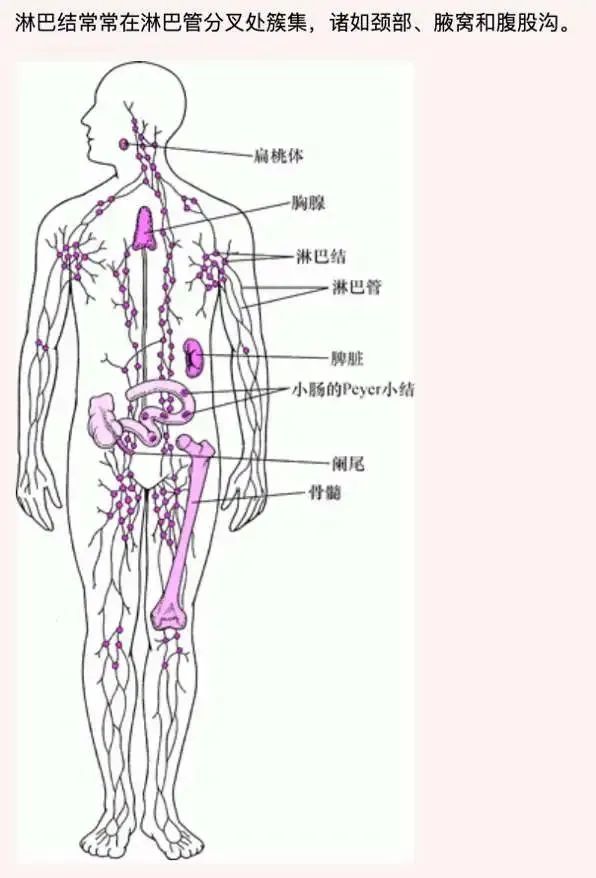 孩子先天免疫力不好，常伴有10种迹象！